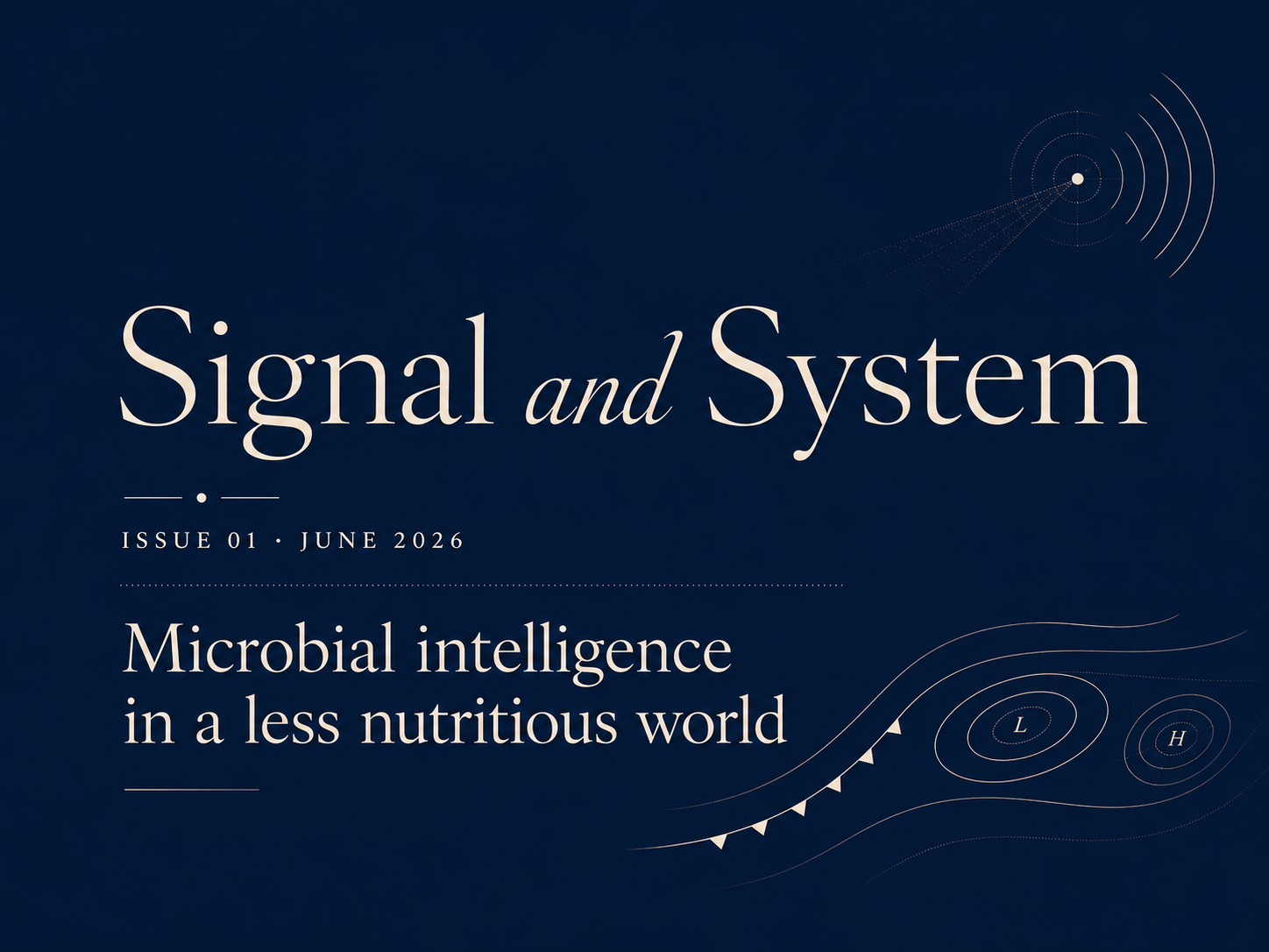 Signal and System newsletter issue visual with the title and weather-map imagery for Dr. Julie Pullen’s LinkedIn newsletter.